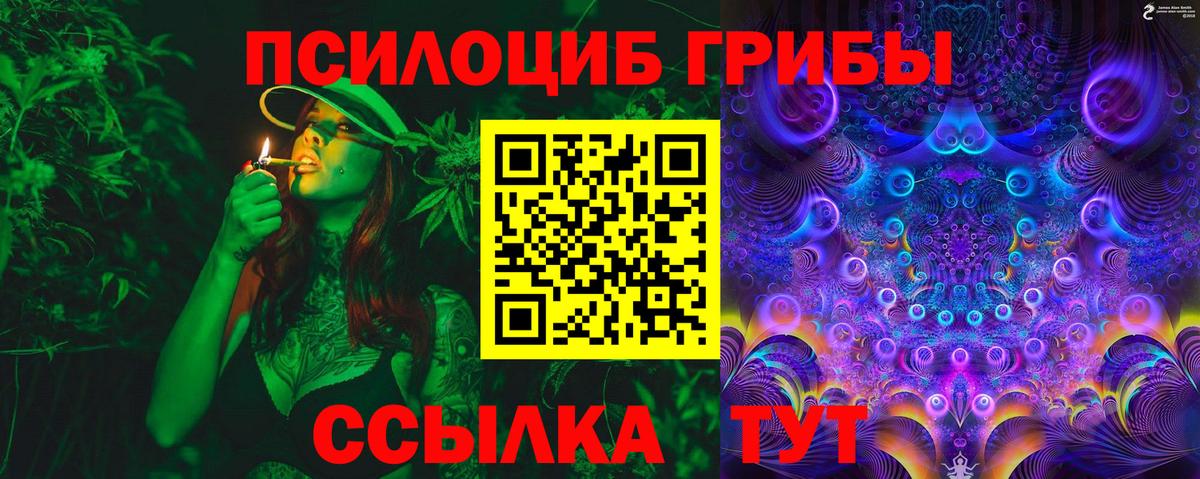 Галлюциногенные грибы Psilocybe Воркута