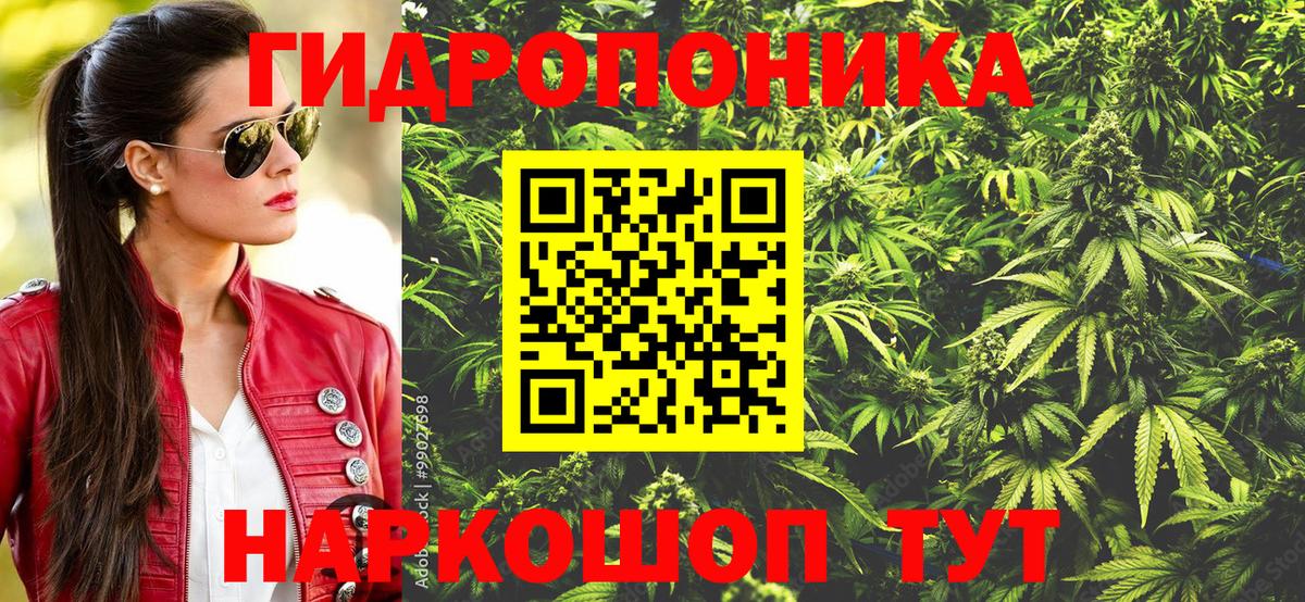 Воркута  Конопля MAZAR  Конопля план  Вход с VPN  Бошки марихуана Ganja 